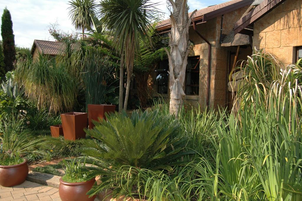 Summer Garden Guest House Бенони Екстериор снимка